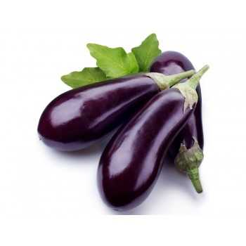 AUBERGINE - باذنجان