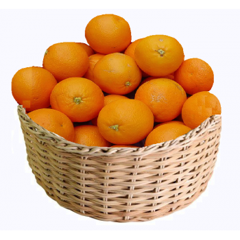 20kg oranges