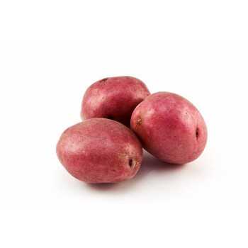 POMMES DE TERRE FRITES -...