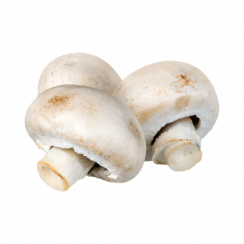 champignon (250g) فطر